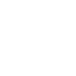 SVN Vanguard
